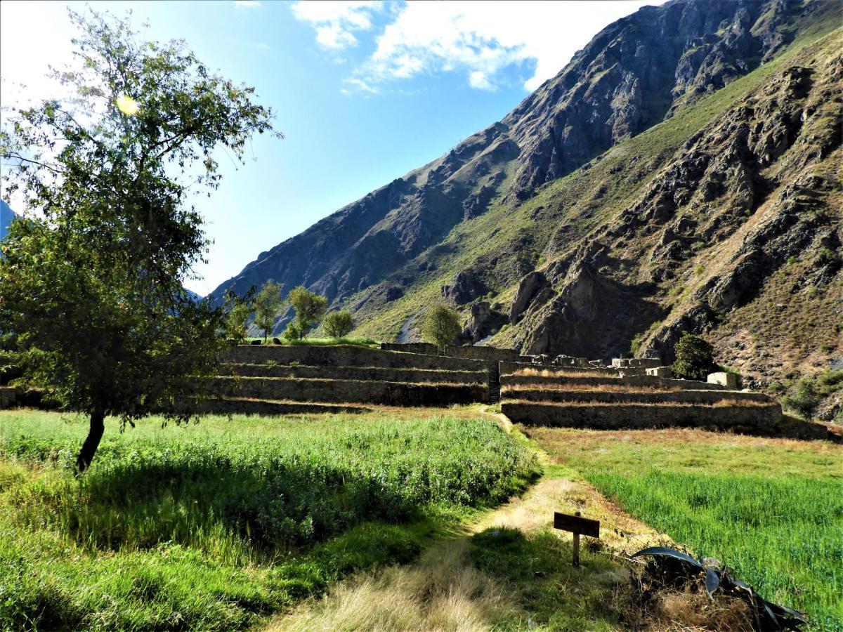 Ayllu B&B Ollantaytambo Bagian luar foto